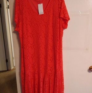Joanna Hope NWT coral stretch lace lined dress